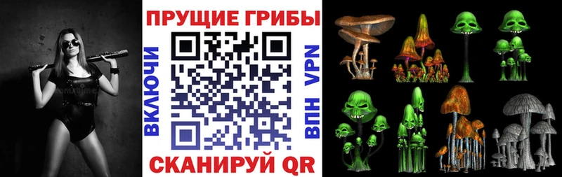 купить закладку  дарк нет клад  Галлюциногенные грибы прущие грибы  Реж 
